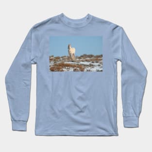 Wild horses, Arizona, nature, wildlife, gifts Long Sleeve T-Shirt